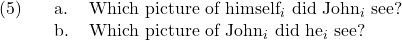 \setcounter{ExNo}{4}  \ex. \a. Which picture of himself$_{i}$ did John$_{i}$ see? \b. Which picture of John$_{i}$ did he$_{i}$ see?