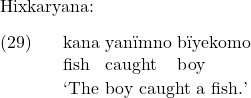 \setcounter{ExNo}{28}  Hixkaryana: \exg. kana yan{\"i}mno b{\"i}yekomo\\ fish caught boy\\ \trans `The boy caught a fish.'