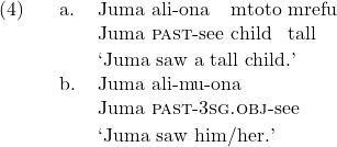 \setcounter{ExNo}{3}  \ex. \ag. Juma ali-ona mtoto mrefu\\ Juma \textsc{past}-see child tall\\ \trans `Juma saw a tall child.' \cg. Juma ali-mu-ona\\ Juma \textsc{past}-3\textsc{sg.obj}-see\\ \trans `Juma saw him/her.'