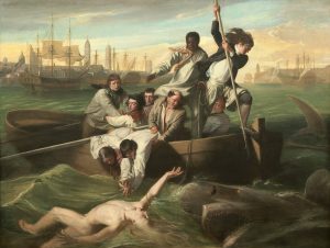 Un groupe d'hommes dans un bateau viennent au secours d'un jeune homme tout nu dans la mer qui est en danger d'être attaqué par un requin. Un de ces hommes dans le bateau est en train de harponner le requin.
