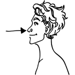 nose