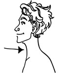 throat