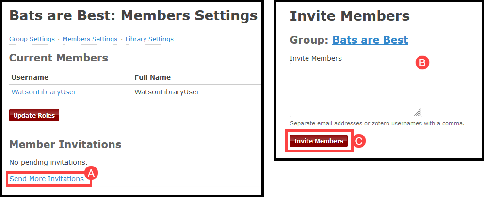 This image shows how to add members to a group library.