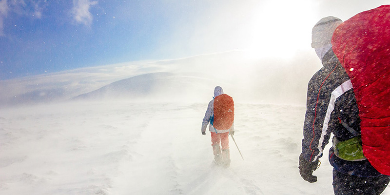 people walking in the snow