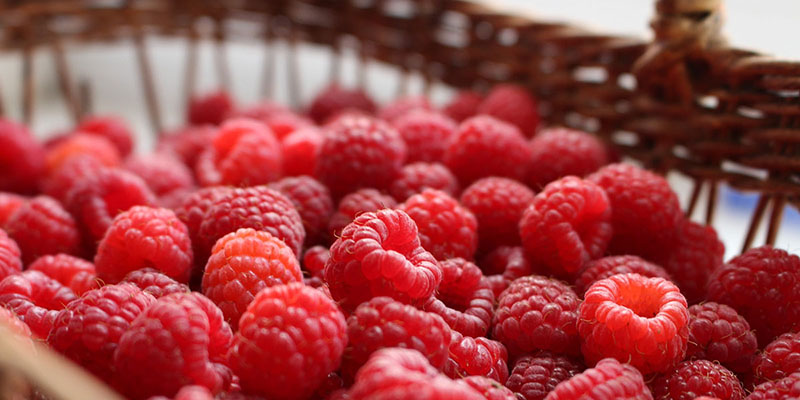 raspberries in a basket