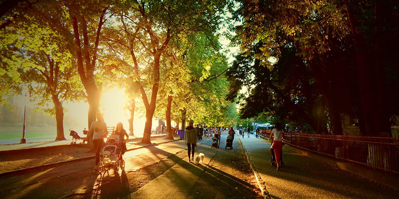 people walking in a park