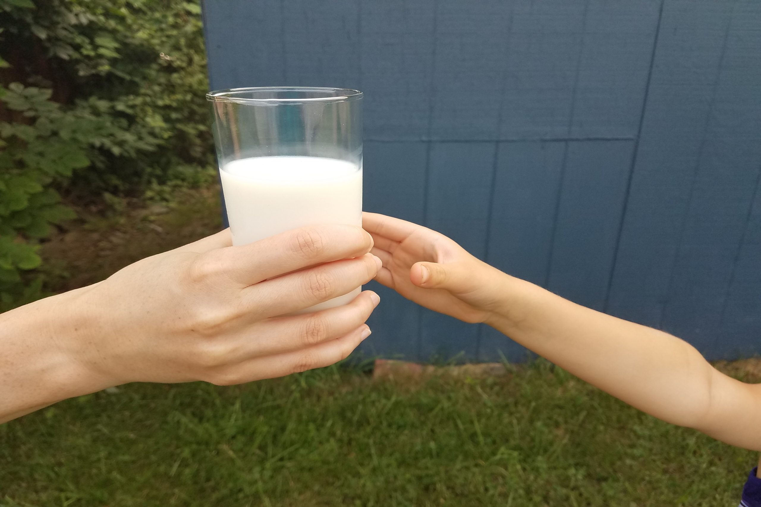 A person is handing a glass of milk to another.