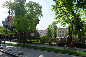 street with trees