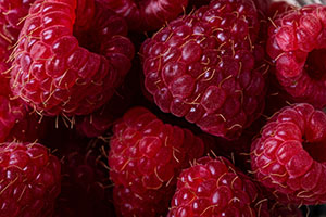 close up of raspberries