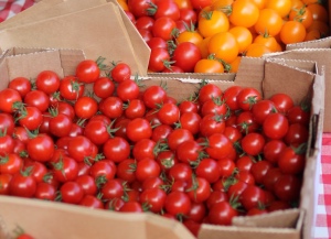 cardboard box full of small tomatoes