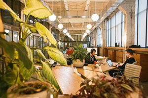 students studying in plant-filled room