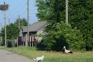 village scene